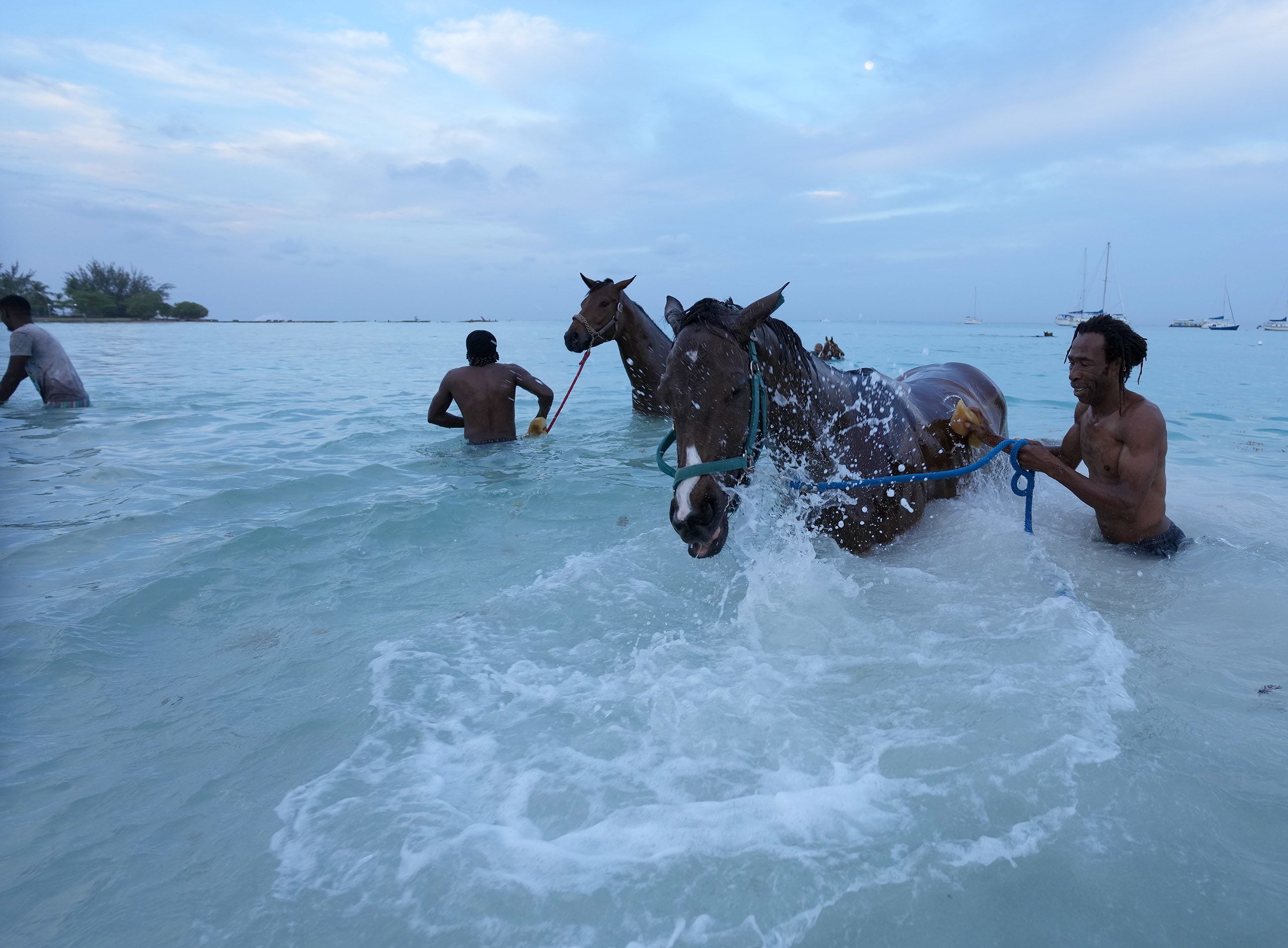 Barbados Blueprint For Climate Resilience   Horses2560 2560x1884 