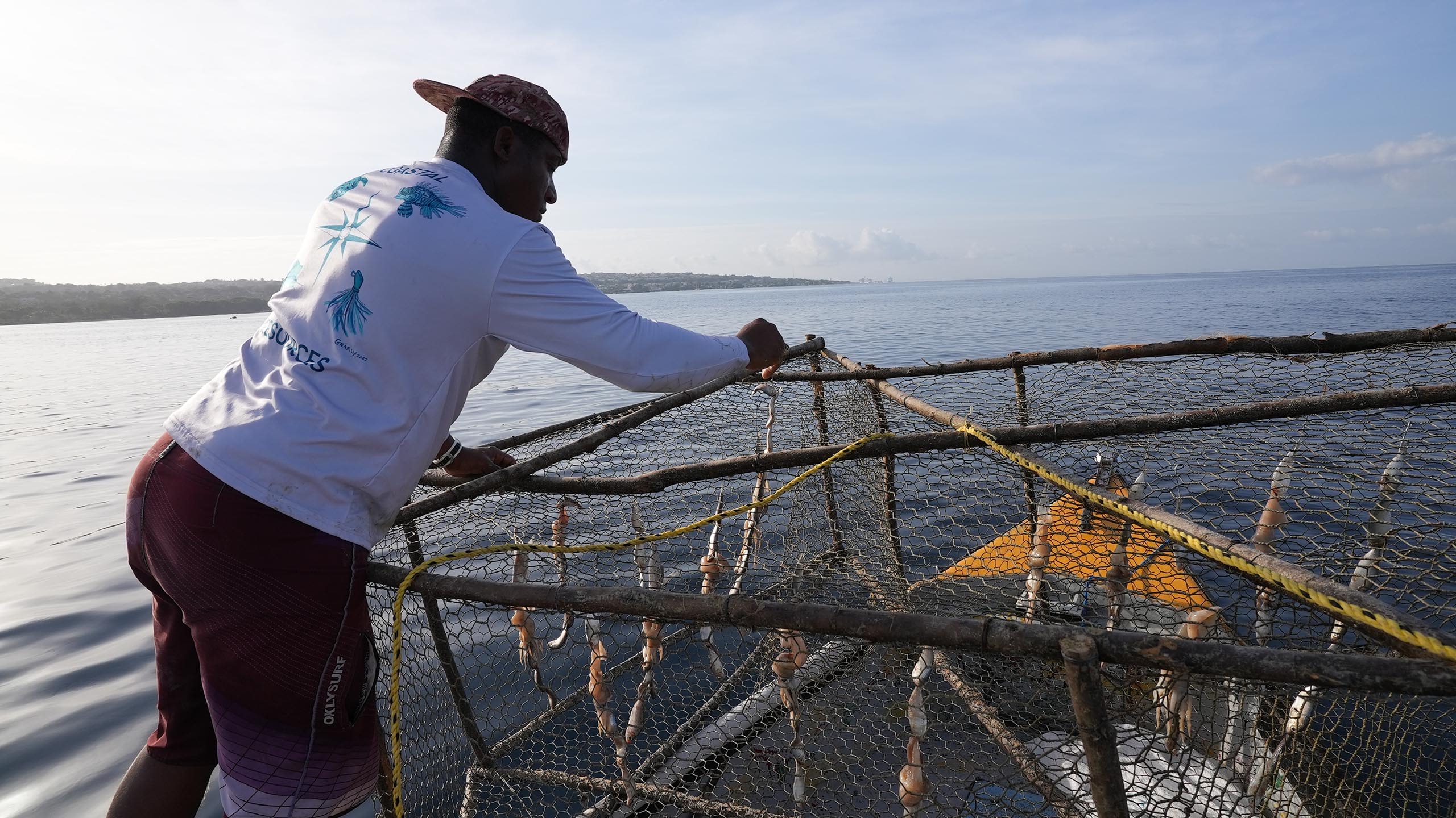 In addition to spearfishing, Ferguson uses traditional fish traps to increase his bounty.