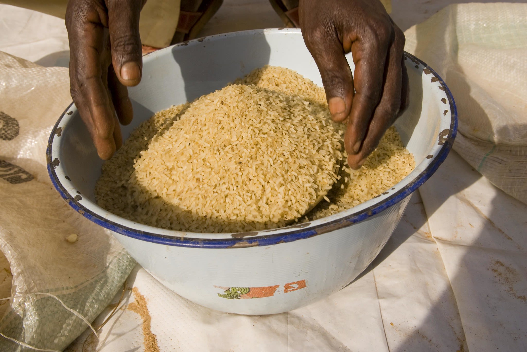 rice grains in a bowl