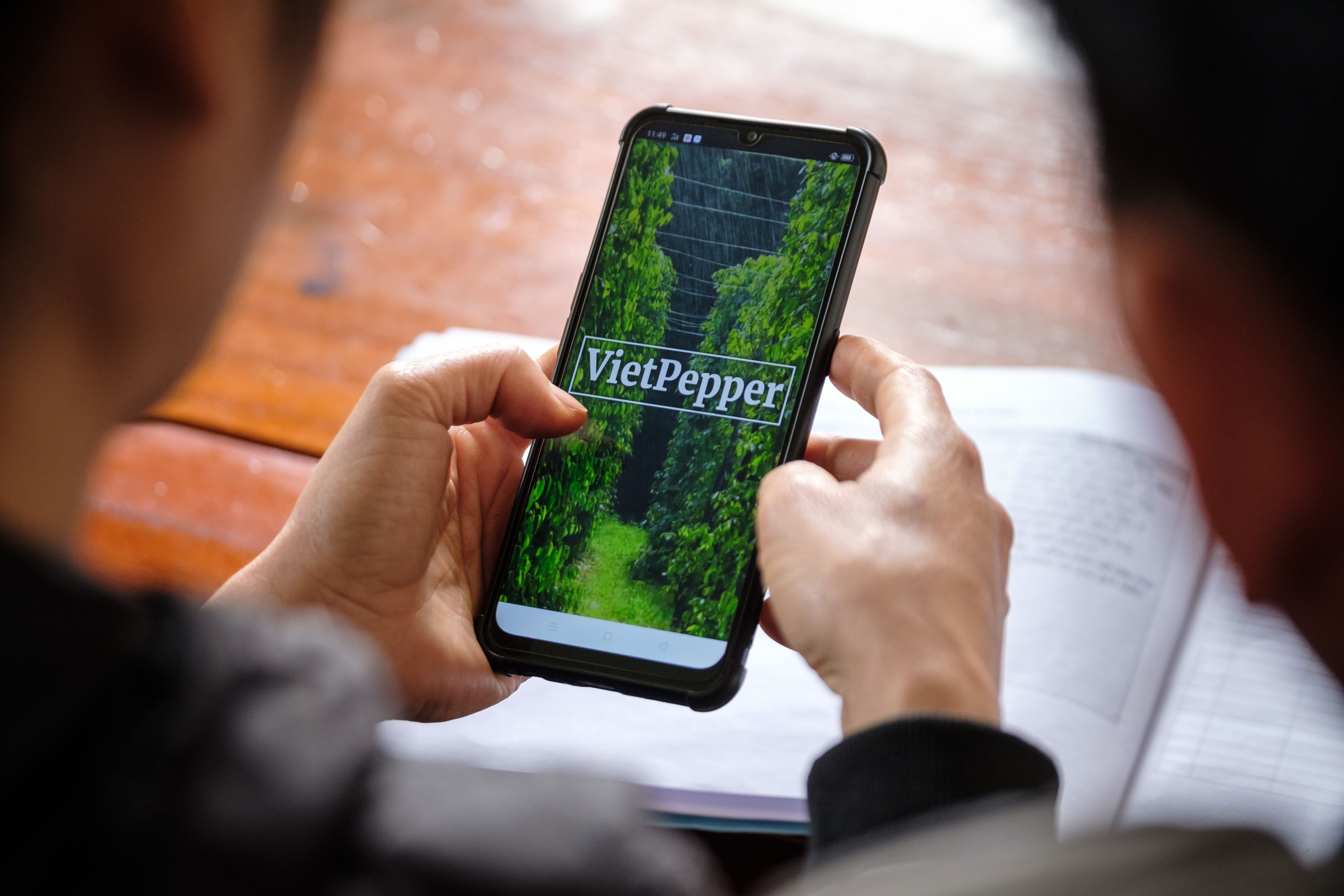 Using the training app VietPepper