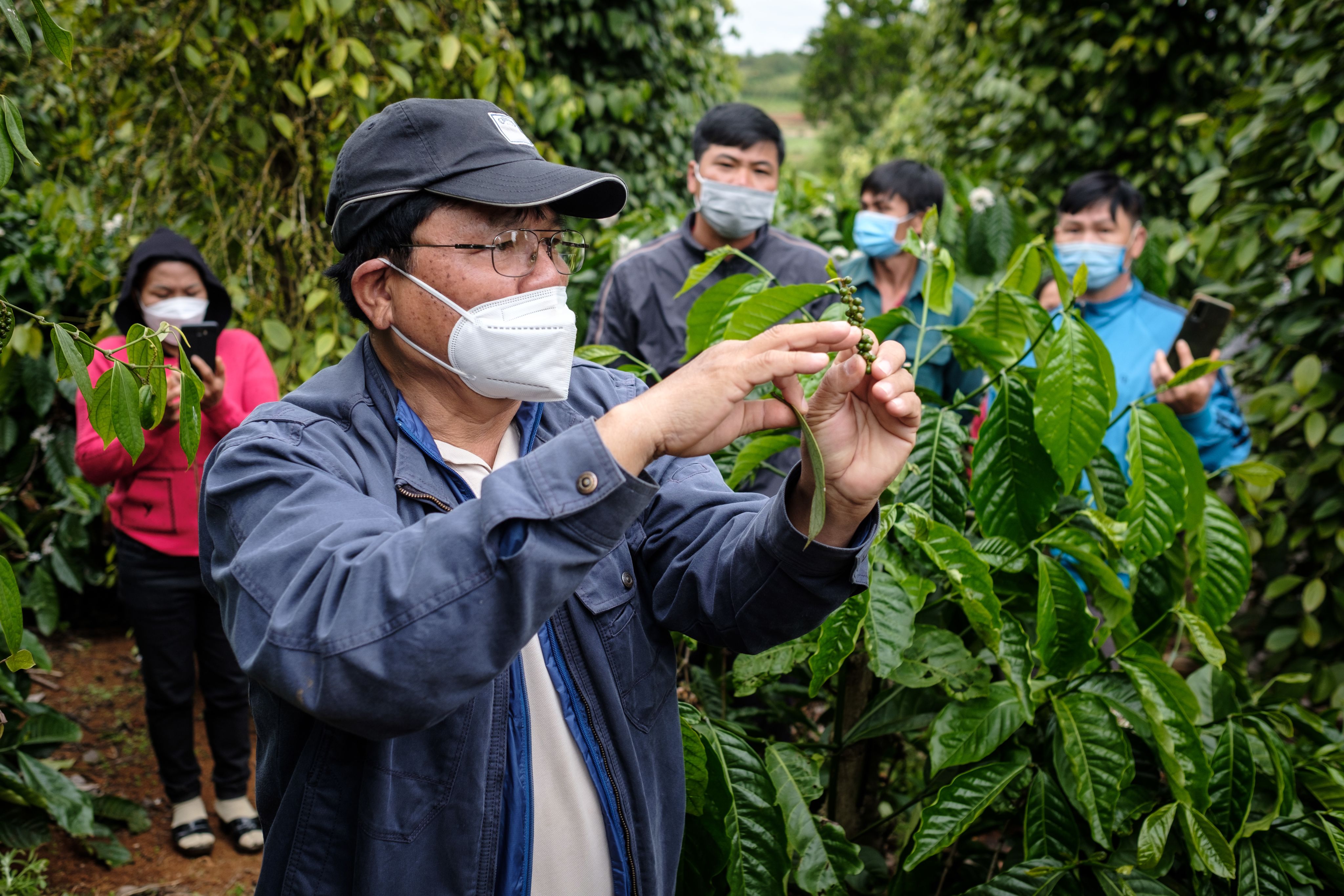 Agronomist guides farmers in Vietnam