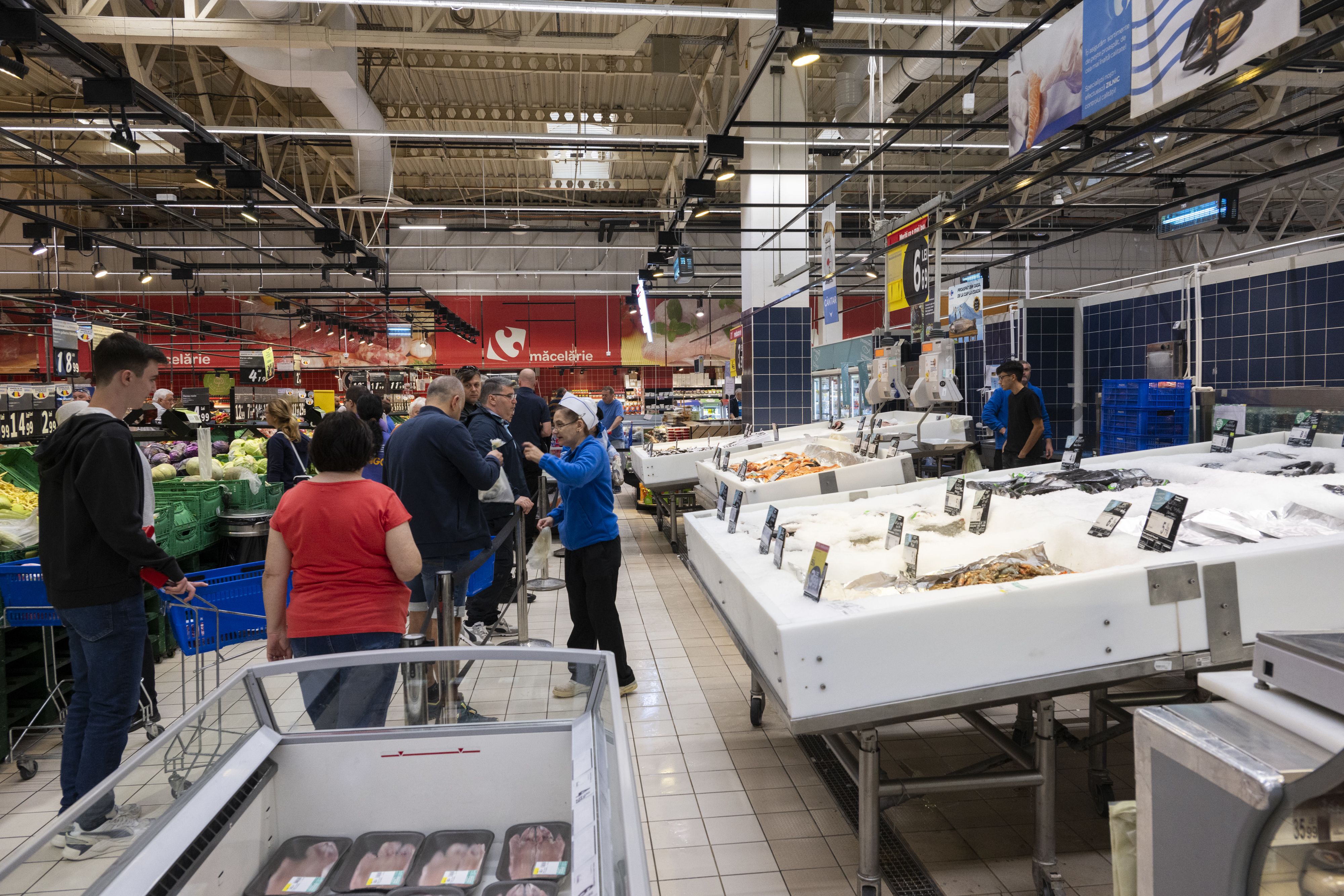 Only a fraction of Romania's €1-billion market for fish is produced locally.