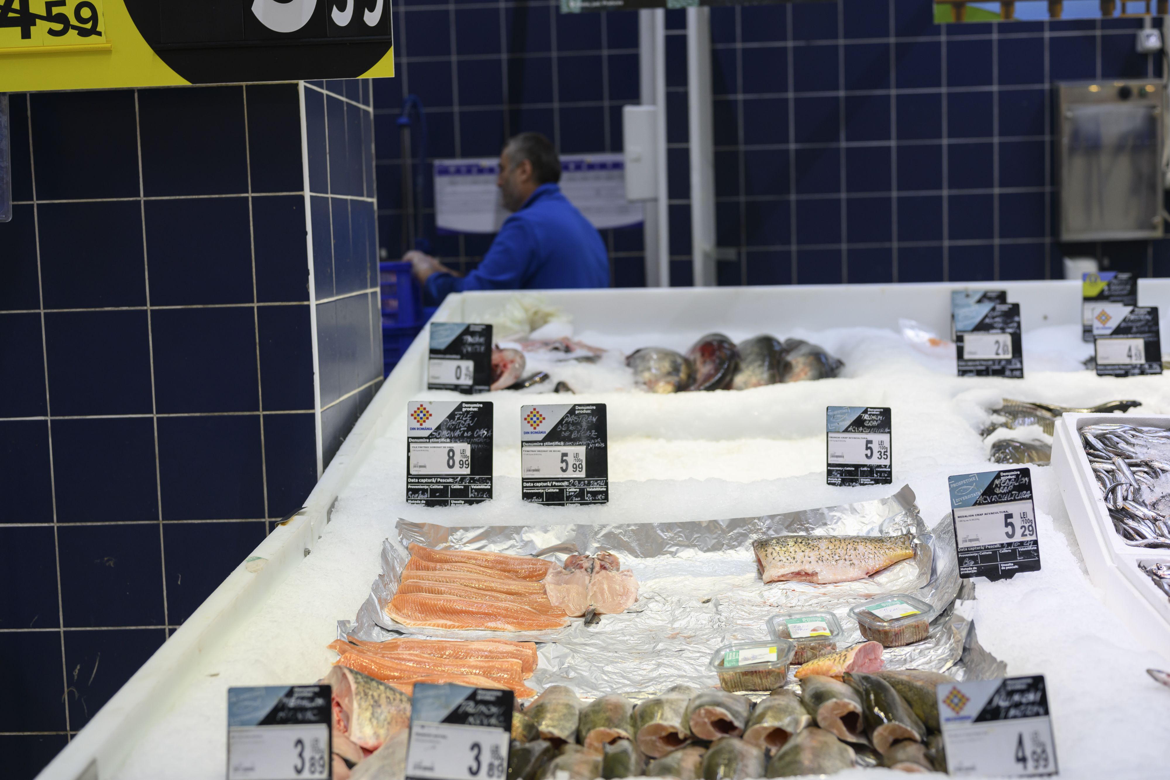 All fish produced in Oasa are sold to the Carrefour supermarket chain, entirely for the local Romanian market.