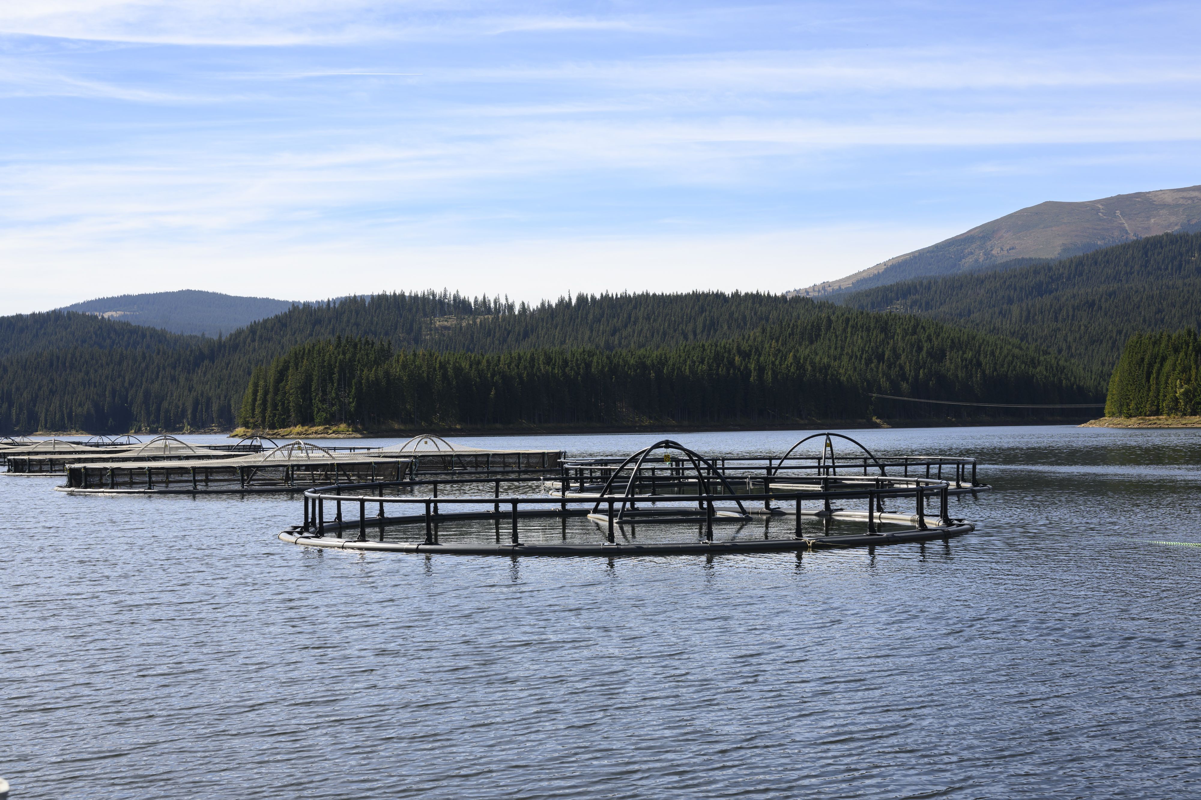 The top of the range Italian cages represent the cutting-edge of sustainable fishery technology.