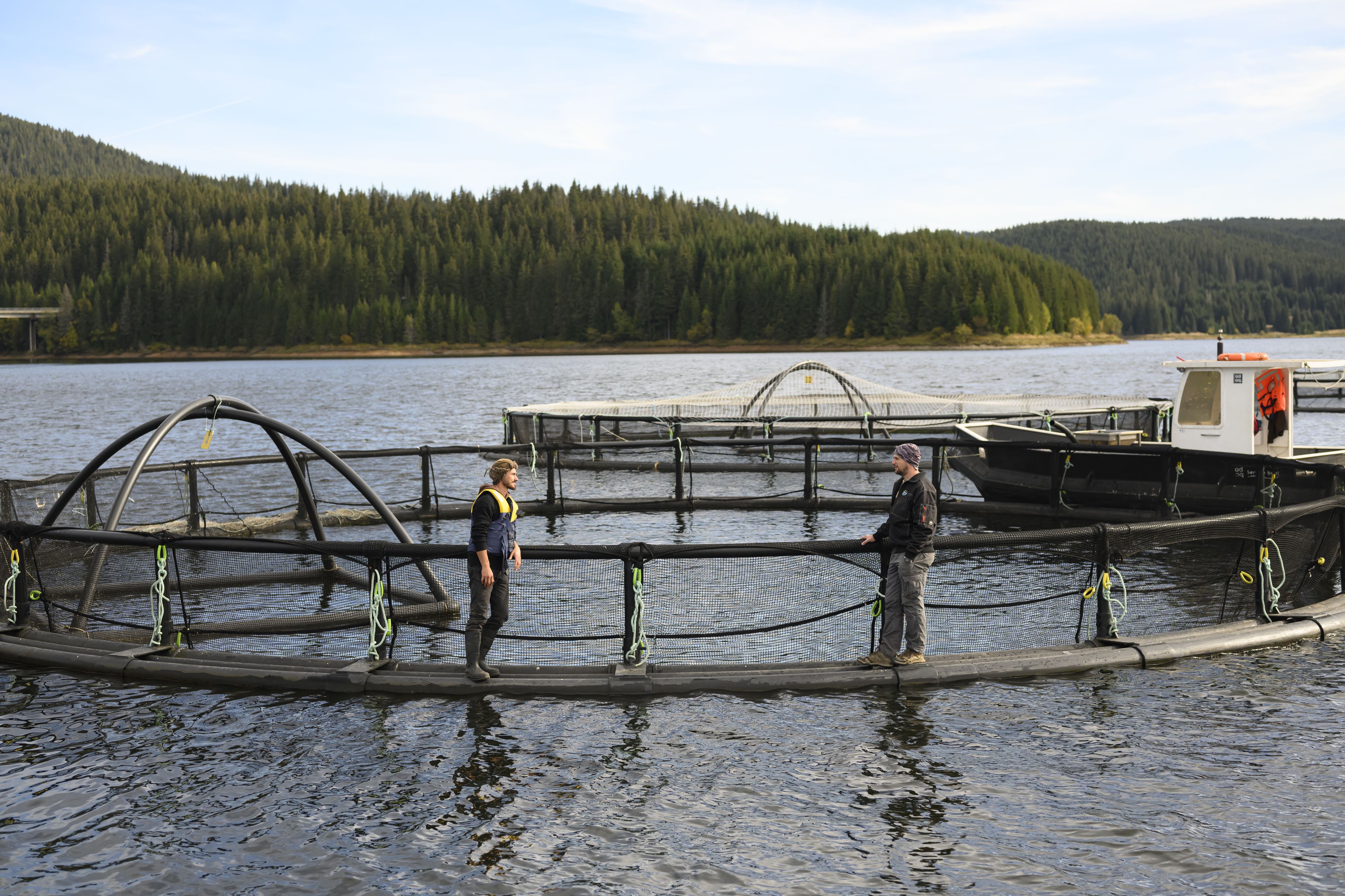 By limiting the number of cages, Pastravul has been able to protect the quality of water in the lake.